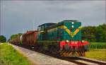 Diesel loc 643-028 pull freight train through Cirkovce-Polje on the way to Pragersko. /11.7.2014