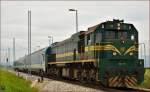 Diesel loc 664-115 pull MV247 'Citadella' through Cirkovce-Polje on the way to Budapest. /5.8.2014