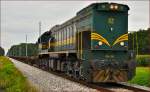 Diesel loc 664-119 pull container train through Cirkovce-Polje on the way to Koper port. /22.8.2014