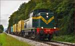 Diesel loc 643-010 pull freight train through Maribor-Studenci on the way to Tezno yard. /26.8.2014