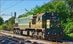 Diesel loc 664-101 run through Maribor-tabor on the way to Maribor station. /28.8.2014