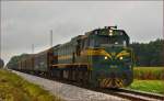 Diesel loc 664-112 pull freight train through Cirkovce-Polje on the way to Koper port. /17.9.2014