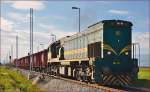 Diesel loc 664-115 pull freight train through Cirkovce-Polje on the way to Hodoš. /10.10.2014