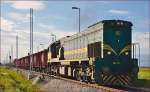 Diesel loc 664-115 pull freight train through Cirkovce-Polje on the way to Hodoš.