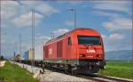 Diesel loc 2016 082 pull container train through Cirkovce-Polje on the way to Hodoš.