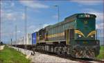 Diesel loc 664-111 pull container train through Cirkovce-Polje on the way to Hodoš. /27.4.2015