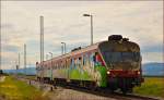 Multiple units 813-116 run through Cirkovce-Polje on the way to Ormož.