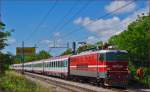 Electric loc 342-001 pull EC158 'Croatia' through Maribor-Tabor on the way to Vienna. /6.6.2014