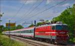 Electric loc 342-014 pull EC158 'Croatia' through Maribor-Tabor on the way to Vienna. /26.5.2014