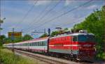 Electric loc 342-014 pull EC158 'Croatia' through Maribor-Tabor on the way to Vienna.