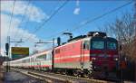 Electric loc 342-005 pull EC158 'Croatia' through Maribor-Tabor on the way to Vienna.