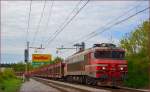 Electric loc 363-004 pull freight train through Maribor-Tabor on the way to the north. /17.4.2014
