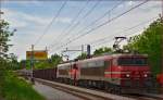 Electric locs 363-028+363-? are hauling freight train through Maribor-Tabor on the way to the north. /7.5.2014