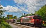Electric loc 363-015 pull freight train through Maribor-Tabor on the way to the north. /12.5.2014
