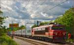 Electric loc 363-020 pull container train through Maribor-Tabor on the way to the north. /12.5.2014
