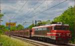 Electric loc 363-019 pull freight train through Maribor-Tabor on the way to the north. /26.5.2014