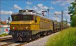 Electric loc 363-005 pull freight train through Maribor-Tabor on the way to Koper port. /26.5.2014