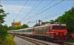 Electric loc 363-010 pull EC158 'Croatia' through Maribor-Tabor on the way to Vienna. /23.6.2014