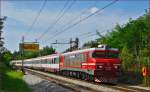 Electric loc 363-024 pull EC158 'Croatia' through Maribor-Tabor on the way to Vienna.
