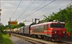 Electric loc 363-002 pull freight train through Maribor-Tabor on the way to the north.