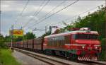 Electric loc 363-036 pull freight train through Maribor-Tabor on the way to the north. /19.8.2014
