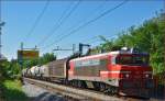 Electric loc 363-019 pull freight train through Maribor-Tabor on the way to the north.