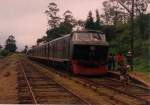 Four luxury DMU units were purchased in 1970  from Hitachi for special tour operations. The One in the picture is the  719 seen at  Watawala in August  2000 on a special tour.   