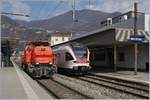 The SBB Am 843 012-6 and the TILO RABe 524 104 in Mendrisio.