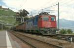 Ae 6/6 (610 439-9) with a Cargo train in Rivaz. 
29.06.2009 