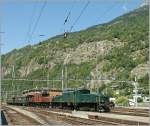 The  Crocodiles Ce 6/8 III 14305 and Ce 6/8 II 14253 arriving with the  SBB Historic  Jubilee train at  Brig.