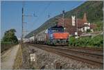 The SBB Eem 923 001-2 is shortly before Ligerz with a freight train heading towards Biel/Bienne. Here, the double track ends for a few kilometers and the train will run over the last single-track section of the Jura foot line. The construction work to eliminate the bottleneck in the form of a tunnel route is already underway.

July 16, 2026
