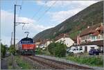 Le SBB Cargo Eem 923 008-7 avec un train de marchandises près de Ligerz en direction de Bienne.