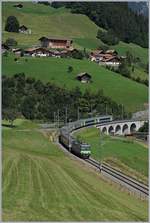 The BLS Re 4/4 II 502 with a RE to Interlaken by Garstatt. 

11.08.2020