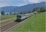 The BLS Re 4/4 502 (ex SBB Re 4/4 II) with his RE Interlaken Ost - Zweisimmen by Faulensee.

19.08.2020