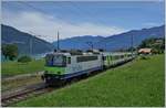 The BLS Re 4/4 502 (ex SBB Re 4/4 II)  with his RE Zweisimmen - Interlaken Ost by Faulensee.