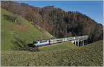 The BLS Re 4/4 II 502 on the way to Zweisimmen on the Bunschenbach Viadkukt.