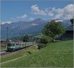 The BLS Re 4/4 II 504 with his RE from Interlaken to Zweisimmen between Faulensee and Spiez.
