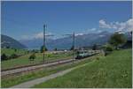 The BLS Re 4/4 504 with his RE on the way to Zweisimmen between Faulensee and Spiez.

14.06.2021