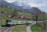 The BLS Re 4/4 501 wiht his RE from Zweismmen to Interlaken Ost by Enge im Simmental. 14.04.2021