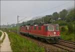 Two Re 4/4 II are running between Thayngen und Bietingen on September 17th, 2012.