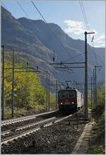 A SBB Re 420 293-3 with a Cargo Train on the way to Brig near Varzo.