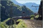 In the dark valley ot the Leventia by Faido are runing two SBB Re 4/4 II with his Carogo train to Airolo.