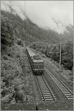 The SBB RE 4/4 11114 wiht an IR to Domodossola near Varzo. 

02.07.2014