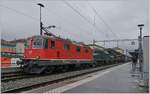 The SBB Re 4/4 11192, the Ce 6/8 III 14305 (9185 4601 305-6), the SOB Be 6/8 III 13302 (91 85 4601 302-3) and the Ce 6/8 II 14253 (91 85 4601 253-8) with his Special Service 100 years Crokodil Loks in Bellinzona.

19.10.2019