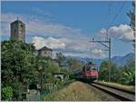 A SBB Re 4/4 II with a  Gotthard - IR  on the way to Locarno by Muralto.