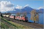 The SBB Re 4/4 II 11294 (Re 420 294-1) KNIE and an other one with a Cargo Train near Villeneuve. 

05.02.2020