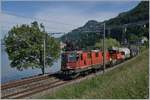 The SBB Re 4/4 II 11248 with a Cargo Service near Villeneuve. 

08.05.2020