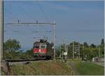 The SBB Re 4/4 II 11345 (Re 420 345-1) between La Coversion and Bossière.