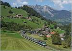 The BLS Re 4/4 II 501 with his RE from Zweismmen to Interlaken Ost by Garstatt.