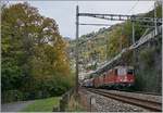 The SBB Re 420 259-9 and an other one with a cargo train by Veytaux-Chillon.